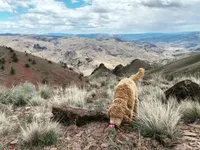 processed/4d564ac1-c12f-40ad-8841-0eb372d74205/facility/2115cedd-9e4c-4942-a85a-ab06361f026e