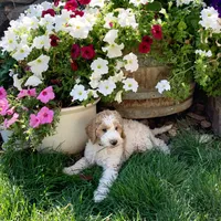 processed/4d564ac1-c12f-40ad-8841-0eb372d74205/facility/21721fc2-6228-49b2-802e-f1e3a0b5fe20