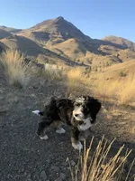 processed/4d564ac1-c12f-40ad-8841-0eb372d74205/facility/e763e2bb-256a-4de7-8825-6fb8e627d420