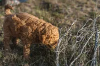 processed/4d564ac1-c12f-40ad-8841-0eb372d74205/facility/fed53b4d-bd5f-4dec-bc3e-75215092975a