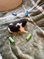 processed/4d566b5b-250c-4fb1-8caf-03b0403eb774/listing/3479a00c-ca9f-4ff0-9efa-a9c98089320d/067f9344-5442-4055-8bcf-f3ec8f1a92c4