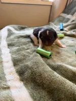 processed/4d566b5b-250c-4fb1-8caf-03b0403eb774/listing/3479a00c-ca9f-4ff0-9efa-a9c98089320d/63c2eff9-0288-4c07-826e-7b7be7f60638