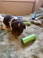 processed/4d566b5b-250c-4fb1-8caf-03b0403eb774/listing/3479a00c-ca9f-4ff0-9efa-a9c98089320d/78b3b8d6-ab8e-4c81-8947-59651e7d9242