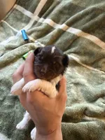 processed/4d566b5b-250c-4fb1-8caf-03b0403eb774/listing/3479a00c-ca9f-4ff0-9efa-a9c98089320d/b3c830f9-595a-430d-8679-d3d5a2e70f29