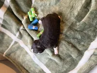 processed/4d566b5b-250c-4fb1-8caf-03b0403eb774/listing/f6ecba1a-728c-45b3-a7a1-979fc89d365b/7b6e1cf2-ebb7-48c3-a479-8e6dec6c0be1