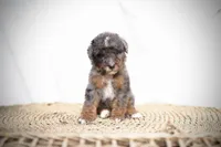 processed/4d5f93f7-3675-463d-ba95-be1f084c8b4f/listing/066630f5-10df-4048-8117-e37fc092069f/961cb3b1-b013-4acc-8861-aa0630189e5d