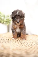 processed/4d5f93f7-3675-463d-ba95-be1f084c8b4f/listing/066630f5-10df-4048-8117-e37fc092069f/c4180855-0544-474a-89b1-4a4dd8408b1c