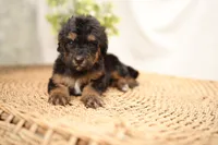 processed/4d5f93f7-3675-463d-ba95-be1f084c8b4f/listing/51273481-dbce-472c-8e17-5c47c2d44ea0/0bf54d75-8bb1-4556-a1c0-351fdd99b9e5