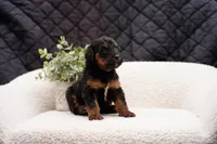 processed/4d5f93f7-3675-463d-ba95-be1f084c8b4f/listing/51273481-dbce-472c-8e17-5c47c2d44ea0/17119088-ec74-4b87-8d50-cf4bcc4e6798