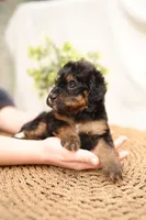 processed/4d5f93f7-3675-463d-ba95-be1f084c8b4f/listing/51273481-dbce-472c-8e17-5c47c2d44ea0/47c0c8df-860c-40b5-bd85-0e556428a589