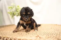 processed/4d5f93f7-3675-463d-ba95-be1f084c8b4f/listing/51273481-dbce-472c-8e17-5c47c2d44ea0/574c1d37-d953-4a73-9579-70ebe58e50ef