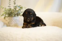 processed/4d5f93f7-3675-463d-ba95-be1f084c8b4f/listing/51273481-dbce-472c-8e17-5c47c2d44ea0/6310c454-61cf-4694-bc13-2566d63f4c1e