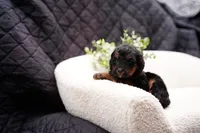 processed/4d5f93f7-3675-463d-ba95-be1f084c8b4f/listing/51273481-dbce-472c-8e17-5c47c2d44ea0/7cd858b6-20cb-4825-a3fe-fb3547e15d64