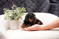 processed/4d5f93f7-3675-463d-ba95-be1f084c8b4f/listing/51273481-dbce-472c-8e17-5c47c2d44ea0/c77c00e7-d019-4007-bc4d-88d10e822d5b