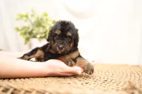 processed/4d5f93f7-3675-463d-ba95-be1f084c8b4f/listing/51273481-dbce-472c-8e17-5c47c2d44ea0/e8660161-f0d3-49d7-bf0a-5c19a0f2c0c5