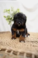 processed/4d5f93f7-3675-463d-ba95-be1f084c8b4f/listing/5d34a825-28ca-4cc5-9ccf-e296932cf9ab/5669da8b-b60b-4d67-8f3a-fdccd09be997