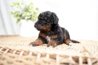 processed/4d5f93f7-3675-463d-ba95-be1f084c8b4f/listing/5d34a825-28ca-4cc5-9ccf-e296932cf9ab/8ac63844-427d-4fa5-9526-53350b8ec69c