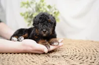 processed/4d5f93f7-3675-463d-ba95-be1f084c8b4f/listing/5d34a825-28ca-4cc5-9ccf-e296932cf9ab/b9315666-67f8-41d8-b3de-4afd433fdaf2