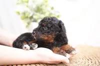 processed/4d5f93f7-3675-463d-ba95-be1f084c8b4f/listing/5d34a825-28ca-4cc5-9ccf-e296932cf9ab/e0c67611-75e4-4b03-9741-e2f64eba9aae