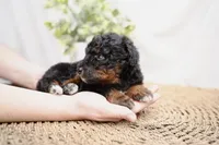 processed/4d5f93f7-3675-463d-ba95-be1f084c8b4f/listing/5d34a825-28ca-4cc5-9ccf-e296932cf9ab/ec7f9cf9-553b-4889-a836-5558af638077