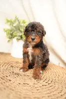 processed/4d5f93f7-3675-463d-ba95-be1f084c8b4f/listing/827fd2b3-507b-471d-a2e3-e93cd3c489dd/9bebe503-cb72-4f7c-a187-0efeabfdcc80