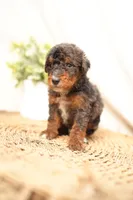 processed/4d5f93f7-3675-463d-ba95-be1f084c8b4f/listing/827fd2b3-507b-471d-a2e3-e93cd3c489dd/bdb9450c-68c2-4f33-94f6-97c35ec46c01