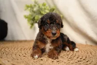 processed/4d5f93f7-3675-463d-ba95-be1f084c8b4f/listing/827fd2b3-507b-471d-a2e3-e93cd3c489dd/e957b4ef-3379-4daa-ab8c-fd85f0f3025e