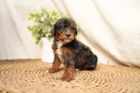 processed/4d5f93f7-3675-463d-ba95-be1f084c8b4f/listing/827fd2b3-507b-471d-a2e3-e93cd3c489dd/ea2841fd-0c6a-494b-ad5f-71da991a7e1f