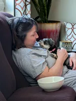 Lucy, a female Miniature Schnauzer for sale in Lacey, WA – Photo 3 of 3