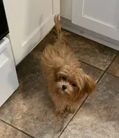 processed/4d74468e-cba6-4ff2-8489-d8ab9c8a8d58/listing/a41eacb7-779c-4175-a5e5-5796c57af848/2cf9e322-bb59-4f08-b9a6-7ae9dda582e6