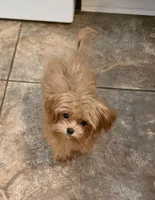 processed/4d74468e-cba6-4ff2-8489-d8ab9c8a8d58/listing/a41eacb7-779c-4175-a5e5-5796c57af848/ae69e75a-2ee8-493c-9b40-105de9164825