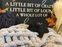 Mack, a male Scottish Terrier for sale in Maysville, AR – 2 of 2