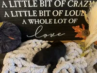 Otis, a male Scottish Terrier for sale in Maysville, AR – 2 of 4