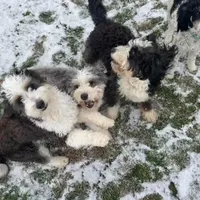 processed/4d7fb3ef-8c57-40d8-adea-95587eb3616e/facility/2a935703-069b-496b-b968-dc4c11c7fb09