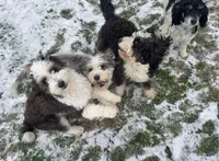 processed/4d7fb3ef-8c57-40d8-adea-95587eb3616e/facility/2a935703-069b-496b-b968-dc4c11c7fb09