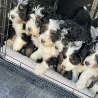 processed/4d7fb3ef-8c57-40d8-adea-95587eb3616e/facility/33fc9edf-bca2-4658-b45c-8f134ea4aa73