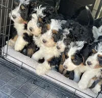 processed/4d7fb3ef-8c57-40d8-adea-95587eb3616e/facility/33fc9edf-bca2-4658-b45c-8f134ea4aa73