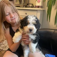 processed/4d7fb3ef-8c57-40d8-adea-95587eb3616e/facility/4ae9d081-0086-4a0c-a896-052ee06b19cb