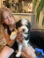 processed/4d7fb3ef-8c57-40d8-adea-95587eb3616e/facility/4ae9d081-0086-4a0c-a896-052ee06b19cb