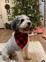 processed/4d7fb3ef-8c57-40d8-adea-95587eb3616e/facility/7a4c4e22-dca6-45bc-9cd3-defeaf6e2657