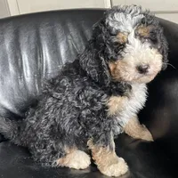 processed/4d7fb3ef-8c57-40d8-adea-95587eb3616e/facility/a5fa6b84-0d81-4b8f-9f5e-355dd3b6e411