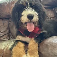 processed/4d7fb3ef-8c57-40d8-adea-95587eb3616e/facility/e63683fb-ad6a-4155-ae5f-999a9f769f4a