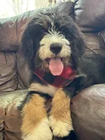 processed/4d7fb3ef-8c57-40d8-adea-95587eb3616e/facility/e63683fb-ad6a-4155-ae5f-999a9f769f4a