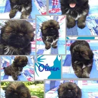 processed/4d849cd5-ea8b-4813-a7bb-eb7d85e5b62e/facility/1884a6ba-e404-426b-9ff2-82883405bb97