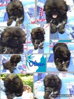 processed/4d849cd5-ea8b-4813-a7bb-eb7d85e5b62e/facility/1884a6ba-e404-426b-9ff2-82883405bb97