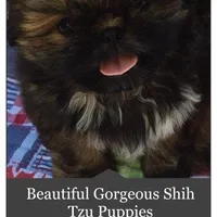 processed/4d849cd5-ea8b-4813-a7bb-eb7d85e5b62e/facility/25059afd-a3bb-4f0f-9286-80e2c160c704