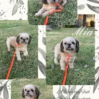 processed/4d849cd5-ea8b-4813-a7bb-eb7d85e5b62e/facility/80c46e0b-34b4-49c6-b5af-43c50a4b7e3b