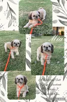 processed/4d849cd5-ea8b-4813-a7bb-eb7d85e5b62e/facility/80c46e0b-34b4-49c6-b5af-43c50a4b7e3b