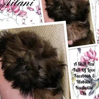 processed/4d849cd5-ea8b-4813-a7bb-eb7d85e5b62e/facility/94fcea24-f3b0-466d-860d-1508c6ca8f74