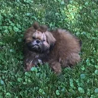 processed/4d849cd5-ea8b-4813-a7bb-eb7d85e5b62e/facility/aeaf1b69-8bc2-43ec-8083-fcd38ac48081